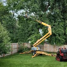 Best Tree Mulching  in Thompsons Station, TN